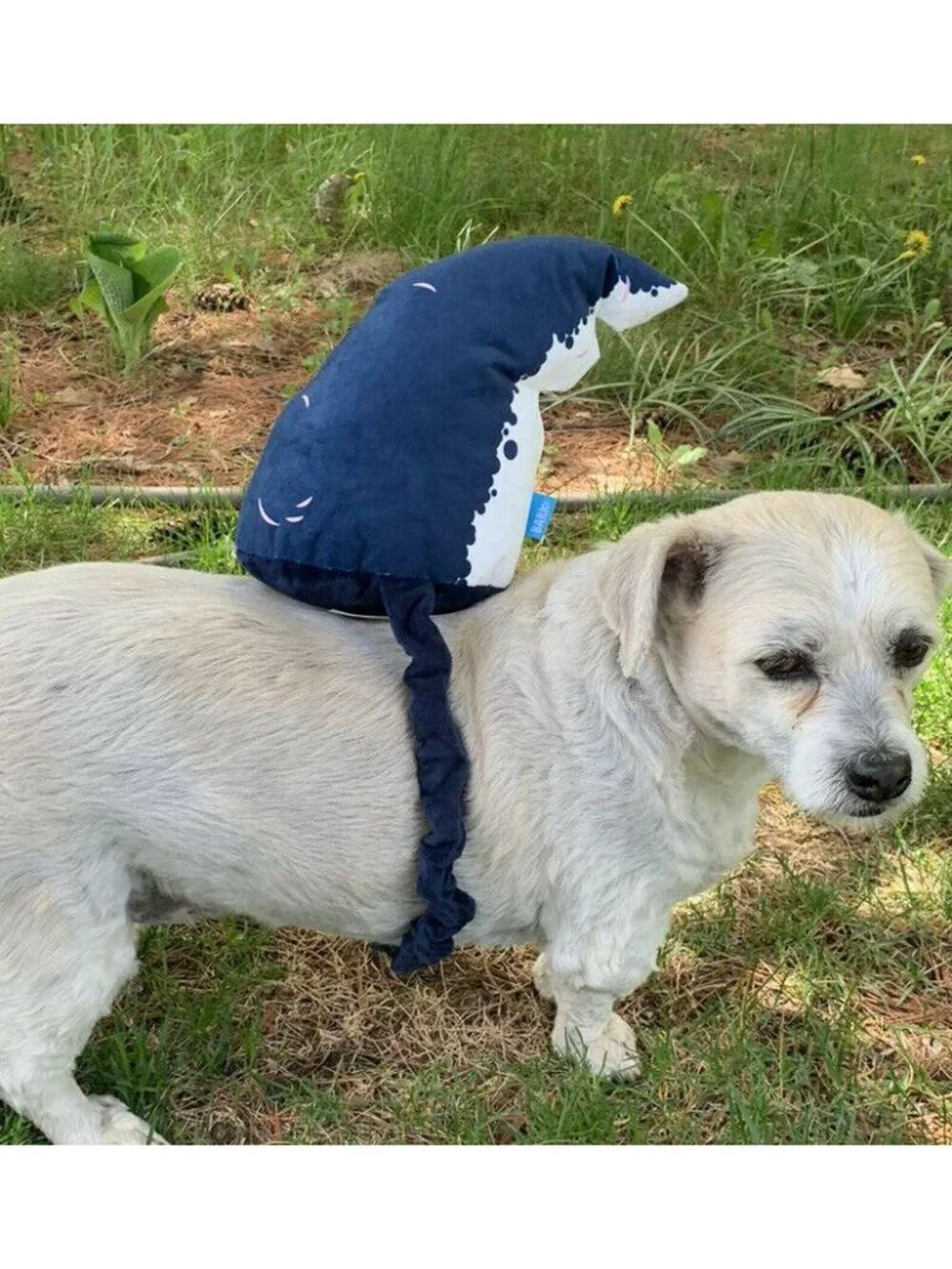 Bark Shark Fin Dog Toy costume Halloween Wearable crinkle tug Large Gift NWT New
